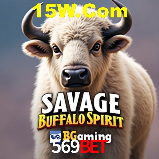A Experiência Imersiva dos Cassinos Ao Vivo no 569Bet